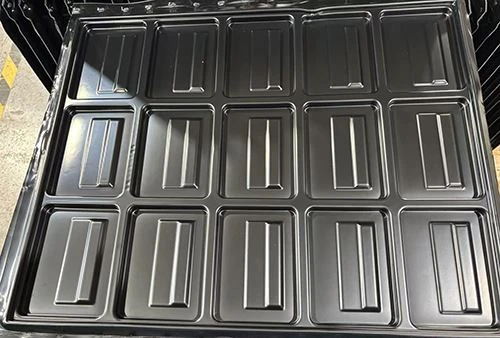 Bandejas de embalaje personalizadas: bandejas de formación al vacío